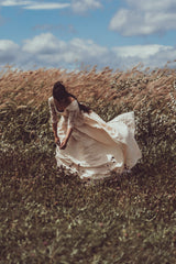 Wind's nest Poster och Canvastavla