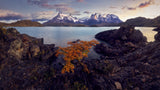 Patagonia Poster och Canvastavla