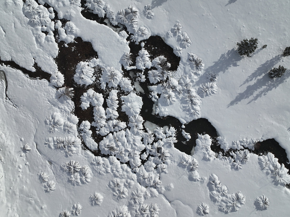 Winter Abstraction Poster och Canvastavla