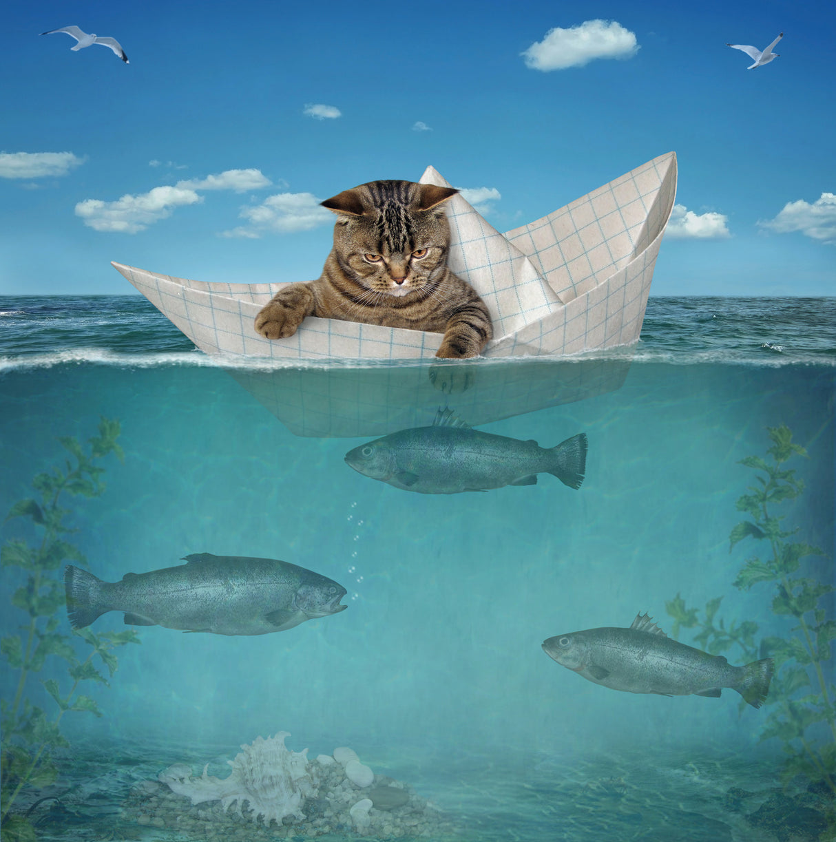 Fishing... Poster och Canvastavla