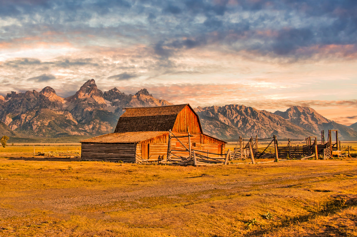 Moulton barn sunrise Poster och Canvastavla