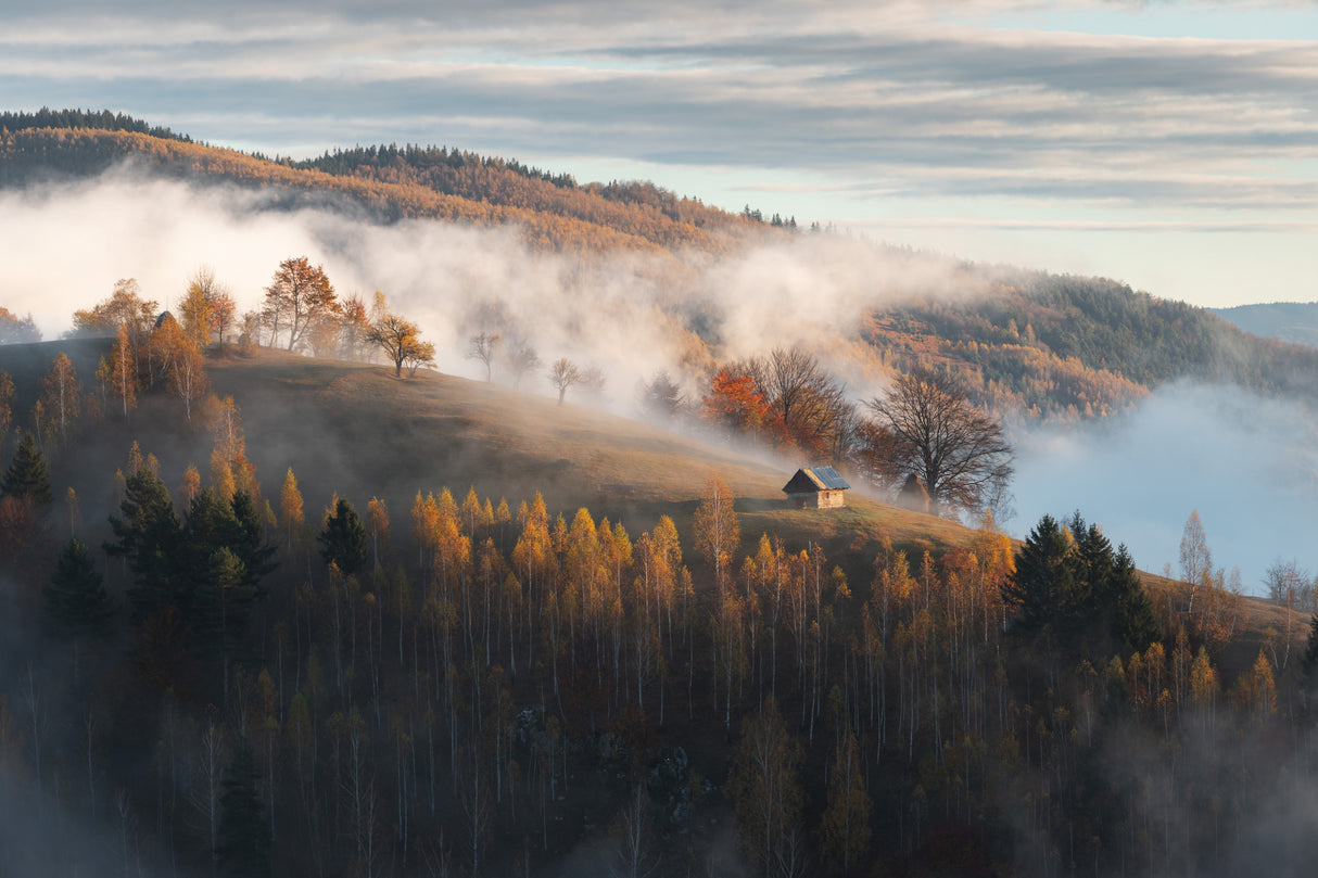 Autumn in rural Romania Poster och Canvastavla