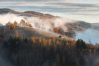 Autumn in rural Romania Poster och Canvastavla