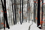Through autumn and winter Poster och Canvastavla