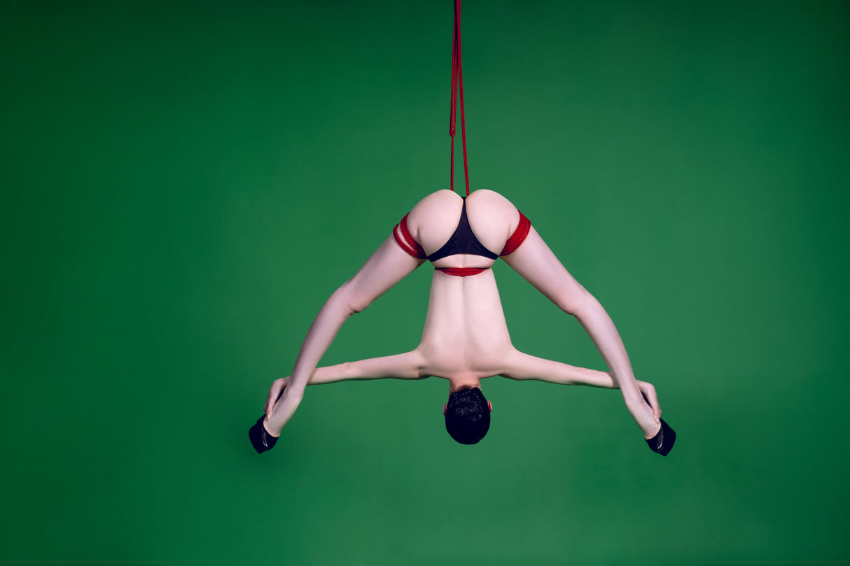 Suspension Poster och Canvastavla
