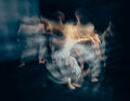 Wild dance Poster och Canvastavla