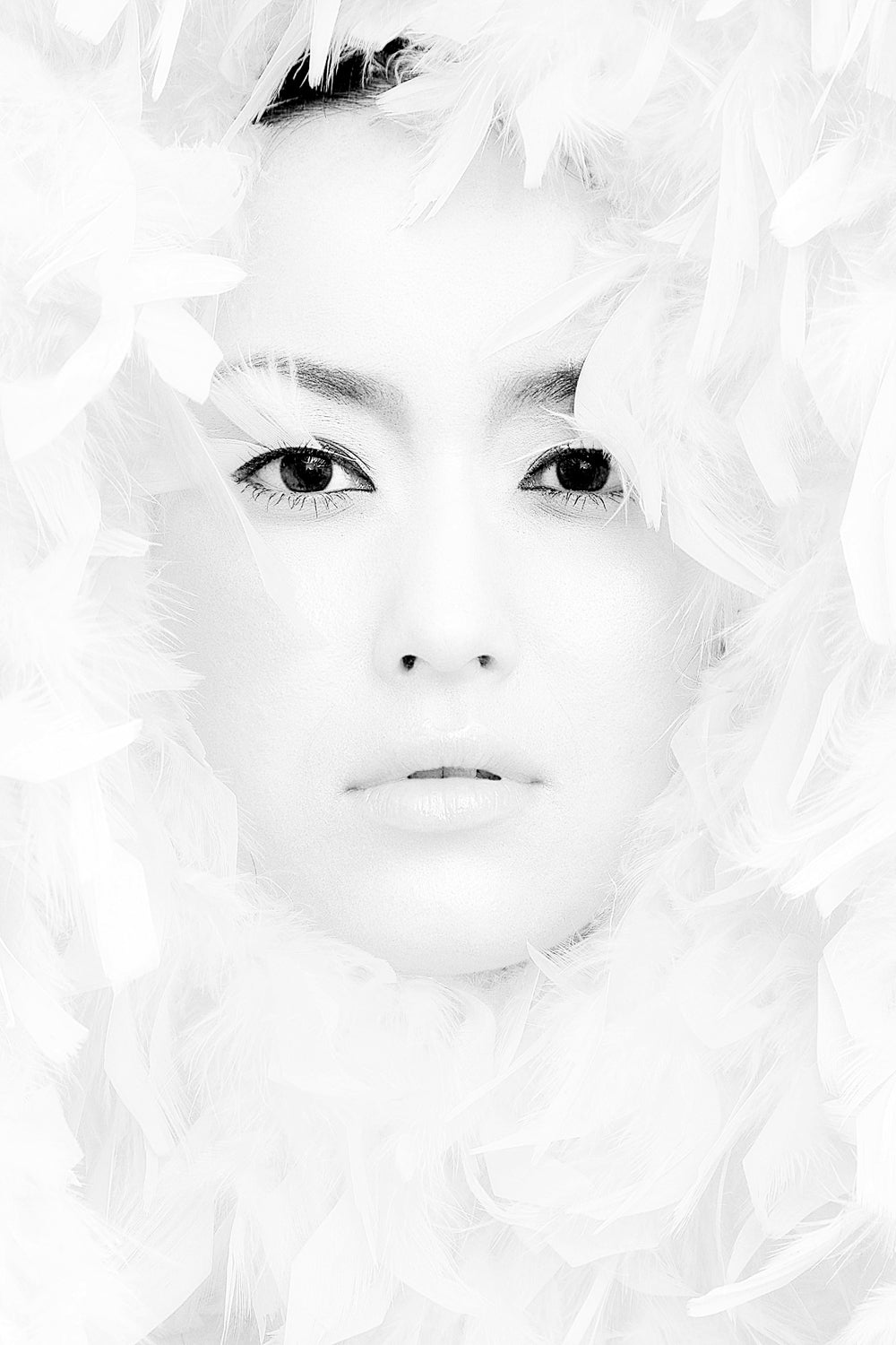 Ice Maiden Poster och Canvastavla