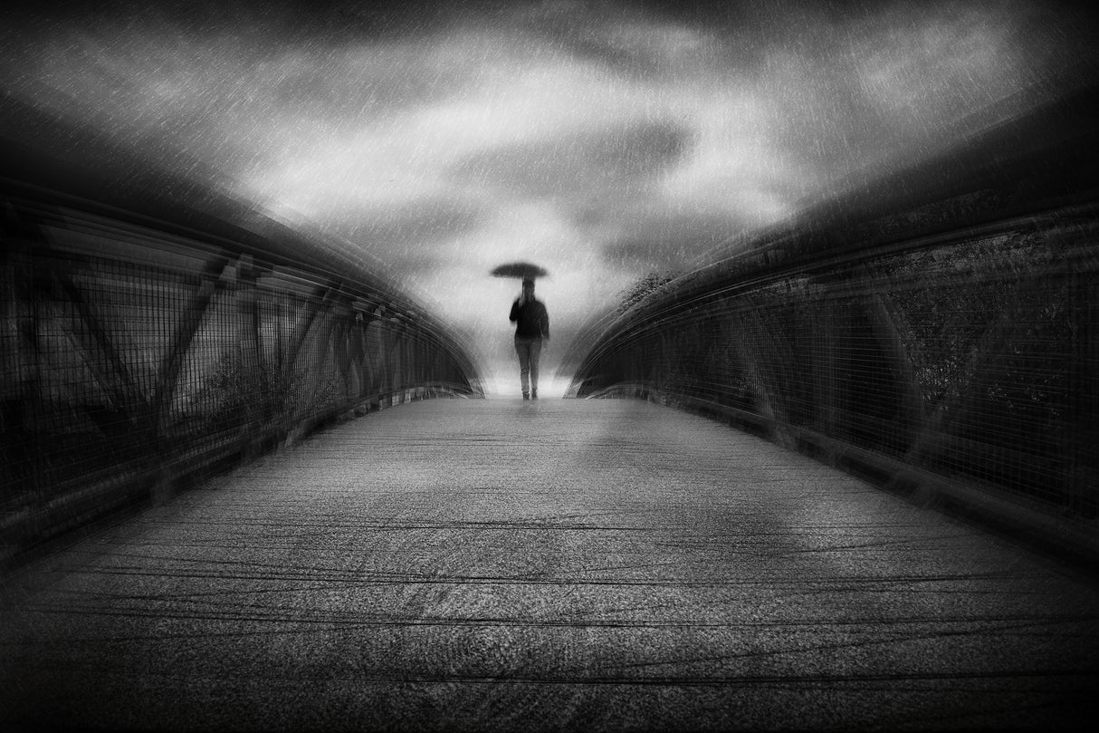 ...rainy bridge Poster och Canvastavla