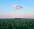 Simple things in life Poster och Canvastavla