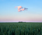 Simple things in life Poster och Canvastavla