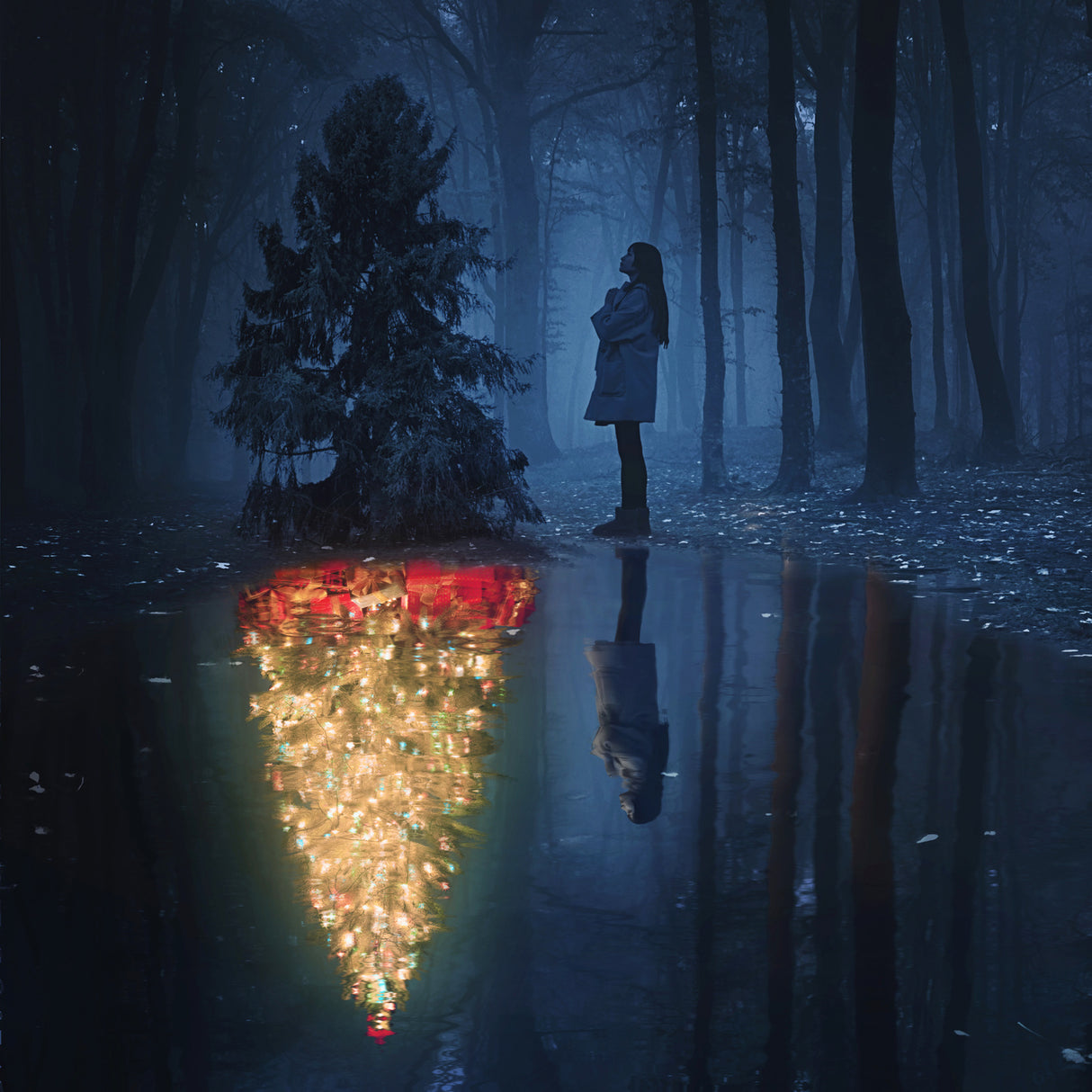 The Hope of Christmas Poster och Canvastavla