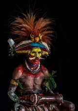 Papua New Guinea Highland Hully Wingmam portrait Poster och Canvastavla