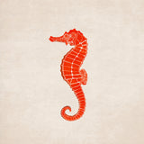 Sea Horse Poster och Canvastavla