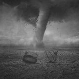 Freedom Storm Poster och Canvastavla