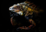 The lost evolution Poster och Canvastavla