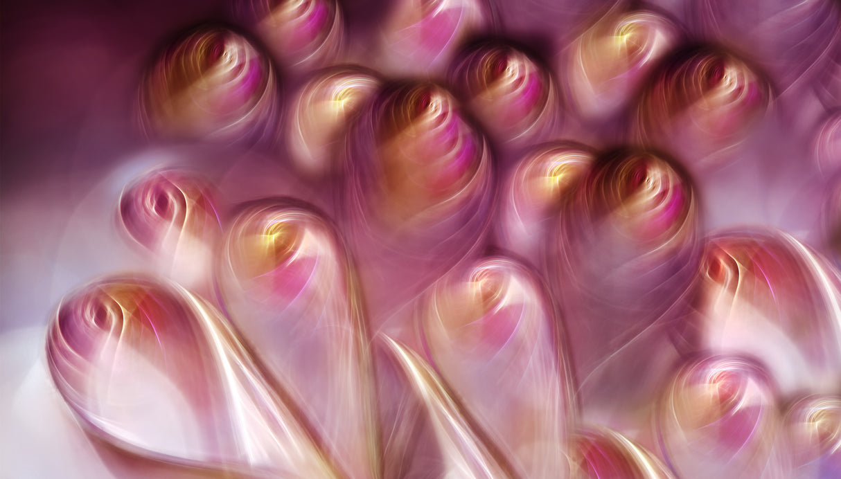 Rosebuds Poster och Canvastavla