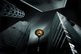 Bright darkness Poster och Canvastavla