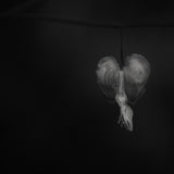 Bleeding heart Poster och Canvastavla