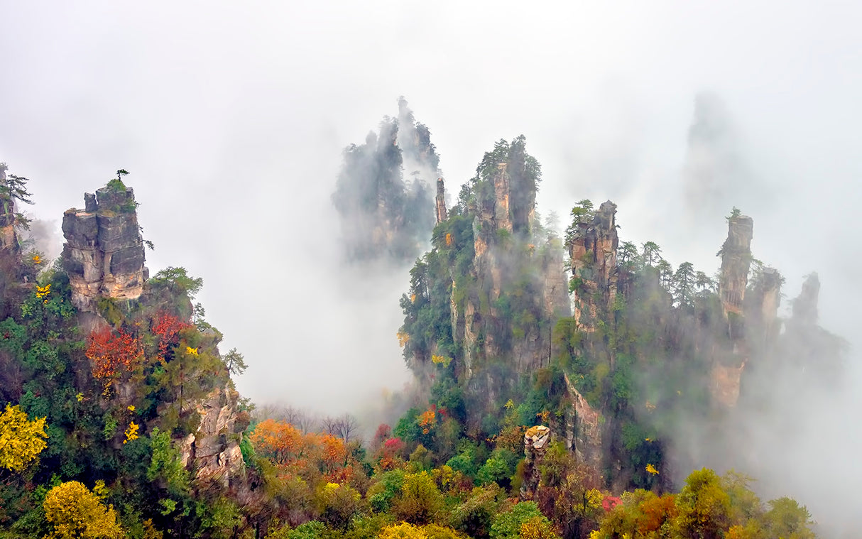 Zhang Jia Jie Fall Color Poster och Canvastavla