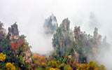 Zhang Jia Jie Fall Color Poster och Canvastavla