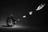Time flies Poster och Canvastavla