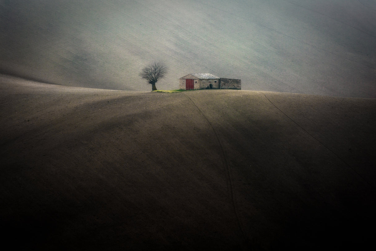 The farmhouse Poster och Canvastavla
