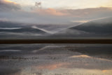 Morning mists Poster och Canvastavla