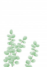Branches Poster och Canvastavla