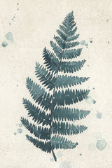 Teal watercolor fern 3 Poster och Canvastavla
