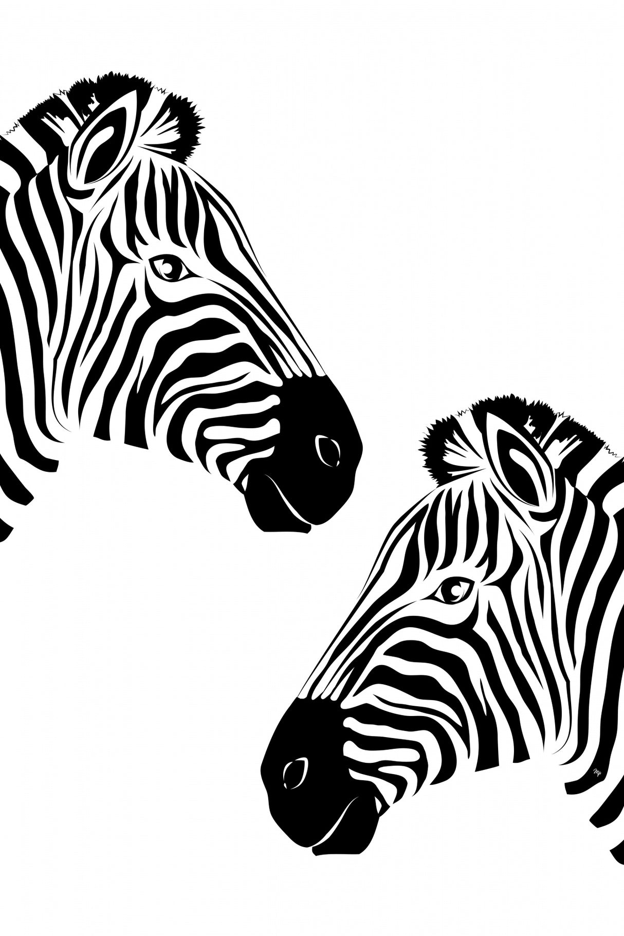 Two Zebras Poster och Canvastavla