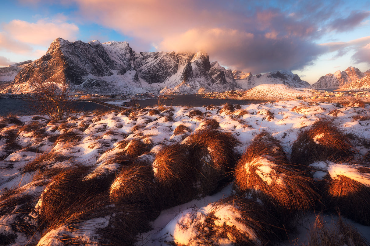 A Golden Winter Morning in Northern Norway Poster och Canvastavla