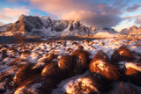 A Golden Winter Morning in Northern Norway Poster och Canvastavla
