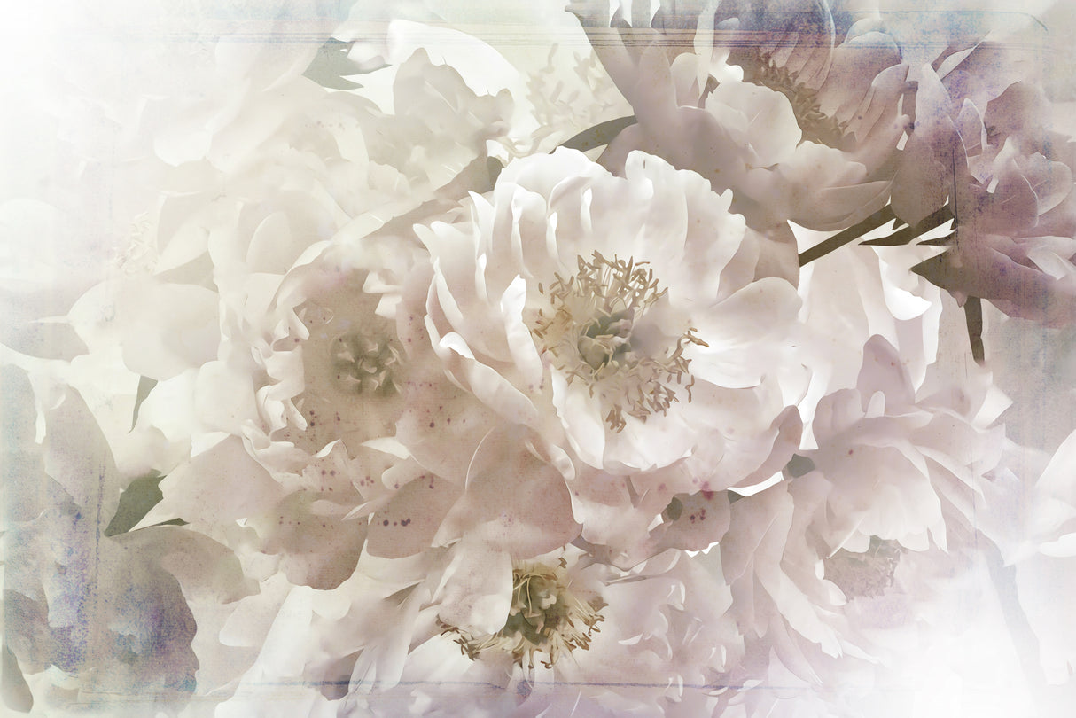 Ombre033flower Poster och Canvastavla