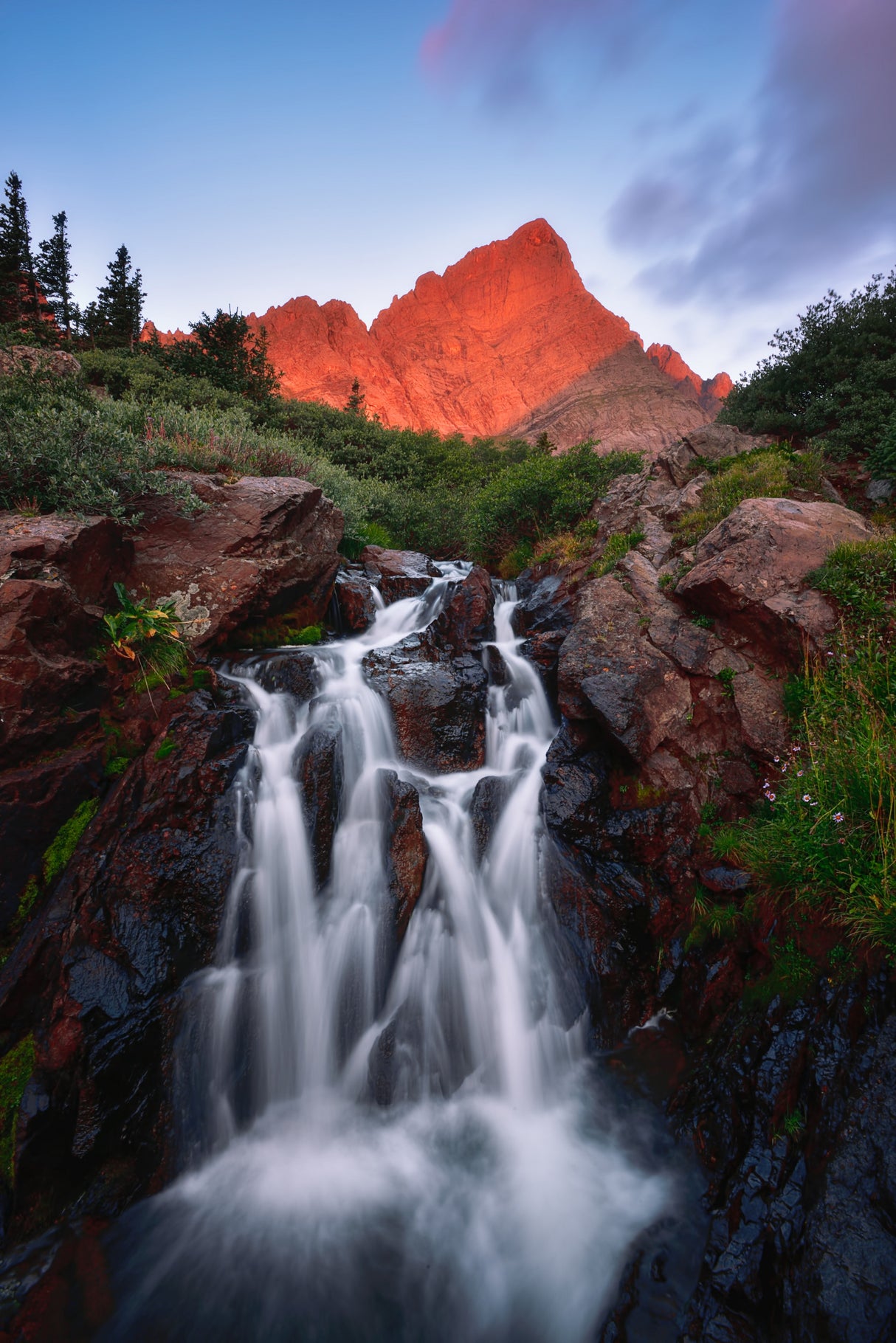 Crestone Needle at Golden Hour Poster och Canvastavla