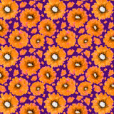 Chiffon Flowers Pink Lemonade Poster och Canvastavla