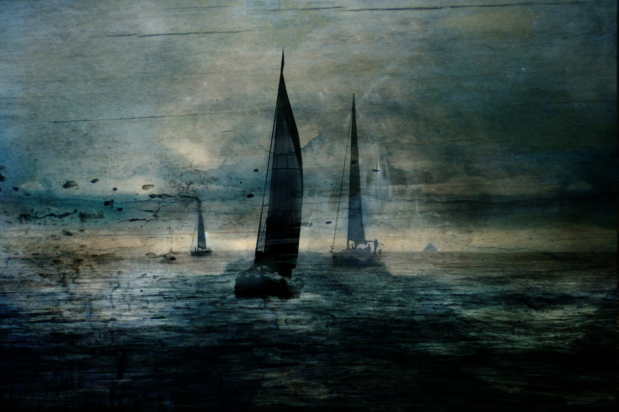 Sailing boats in the bay Poster och Canvastavla