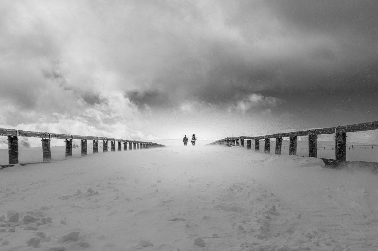 March in the snow. Poster och Canvastavla