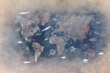 World map 29 Poster och Canvastavla