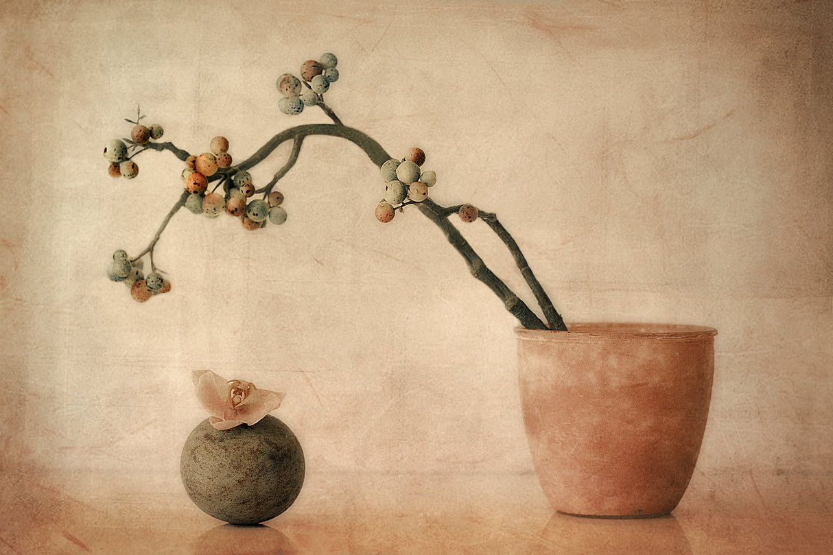 Poster och Canvastavla