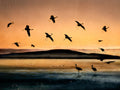 Fly-in at Sunset Poster och Canvastavla