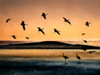 Fly-in at Sunset Poster och Canvastavla
