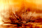 Burning water Poster och Canvastavla
