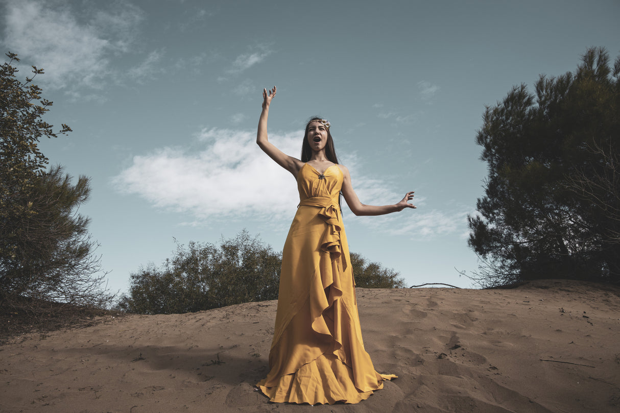 woman in yellow dress Poster och Canvastavla