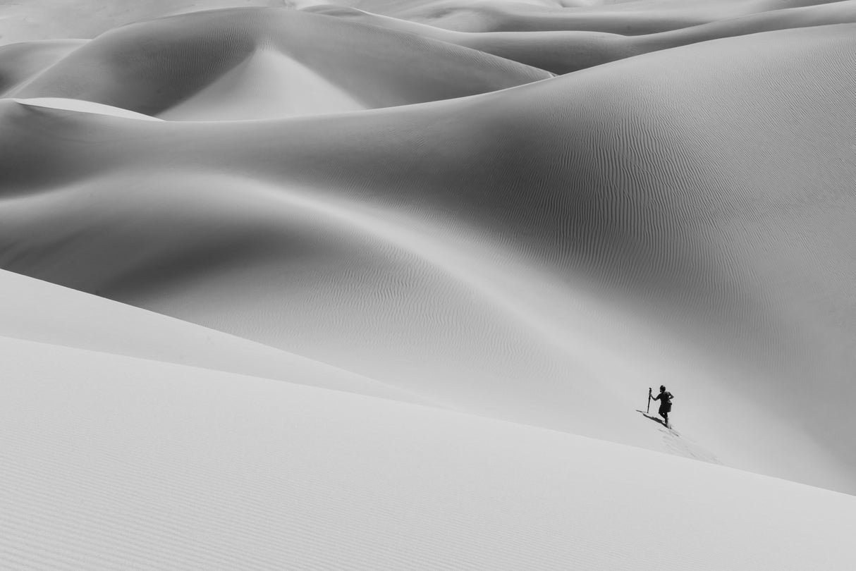 Shadow of the desert II Poster och Canvastavla