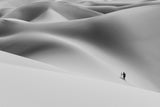 Shadow of the desert II Poster och Canvastavla