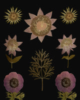 Purple Garden.png Poster och Canvastavla