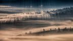Land of thousands shadows Poster och Canvastavla