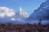Thin Fog Veil of Mt. Fitz Roy Poster och Canvastavla