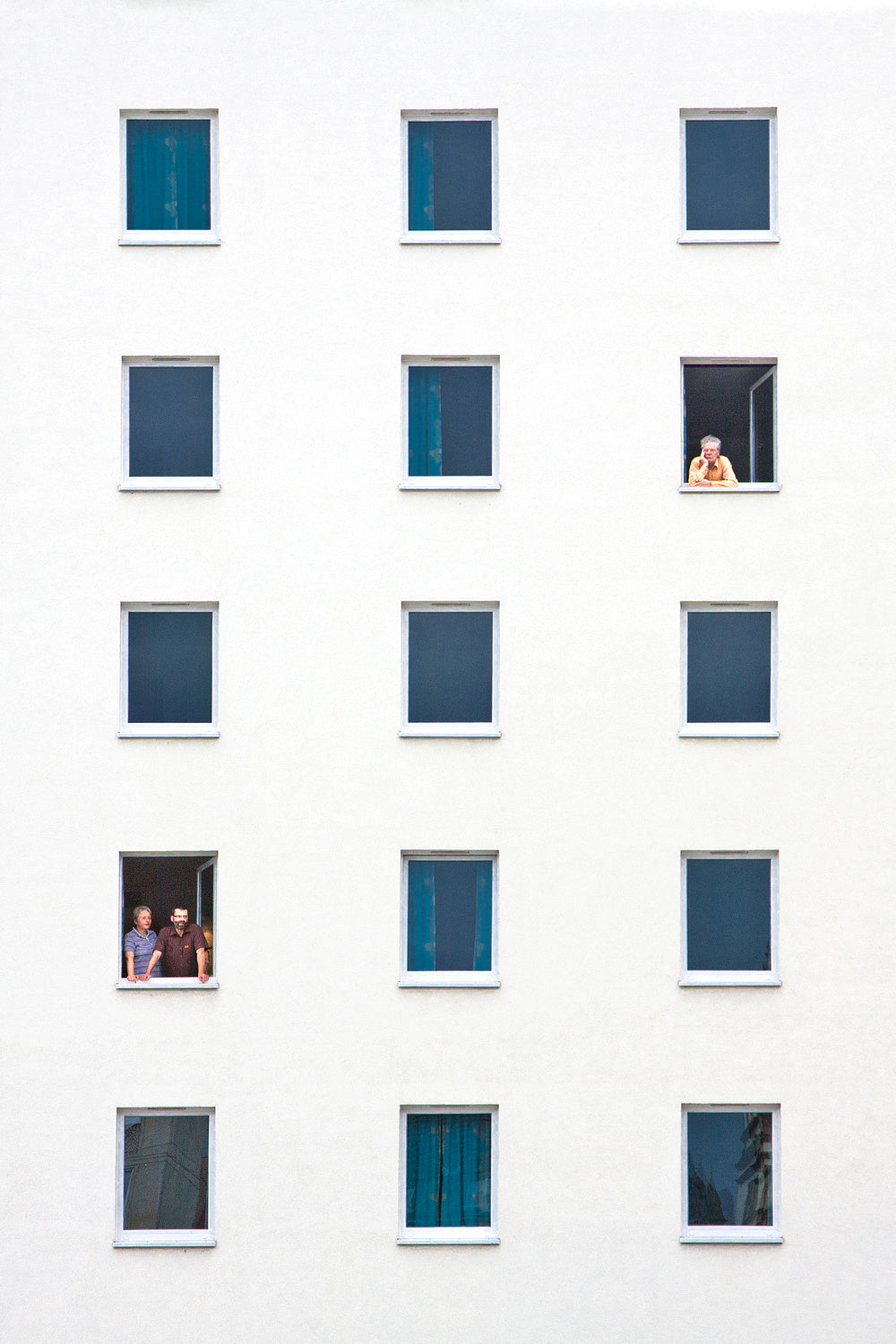 neighbour Poster och Canvastavla