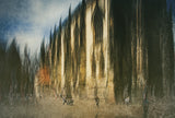 The cathedral Poster och Canvastavla